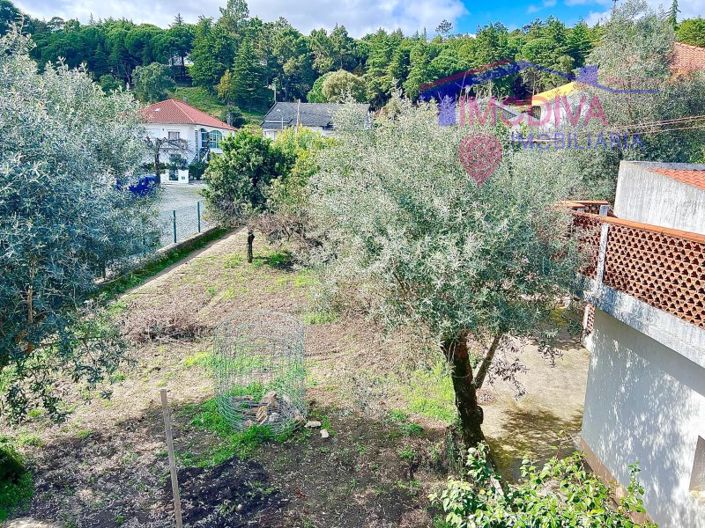 Image No.41-3 Bed House for sale