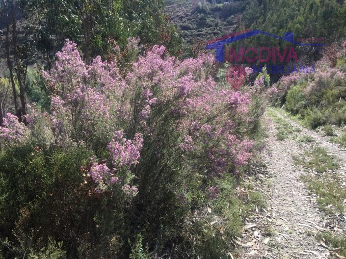 Image No.17-House for sale