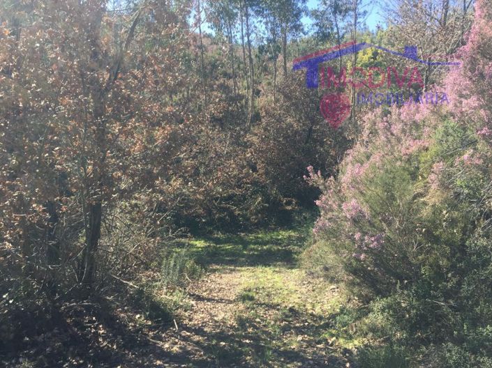 Image No.7-House for sale