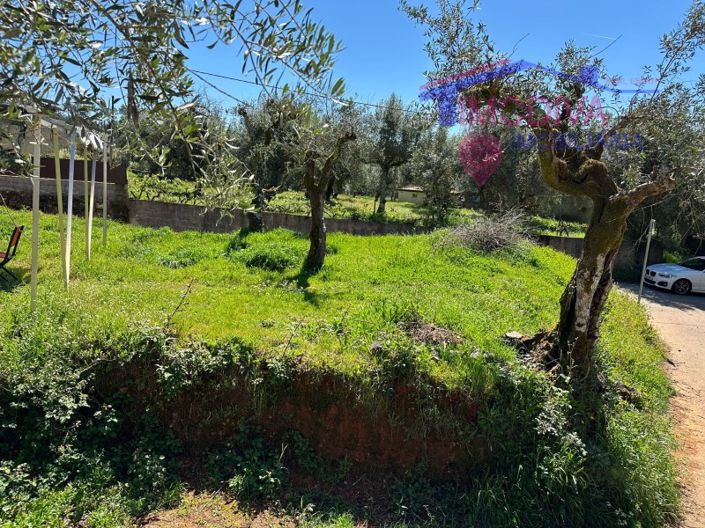 Image No.25-2 Bed House for sale