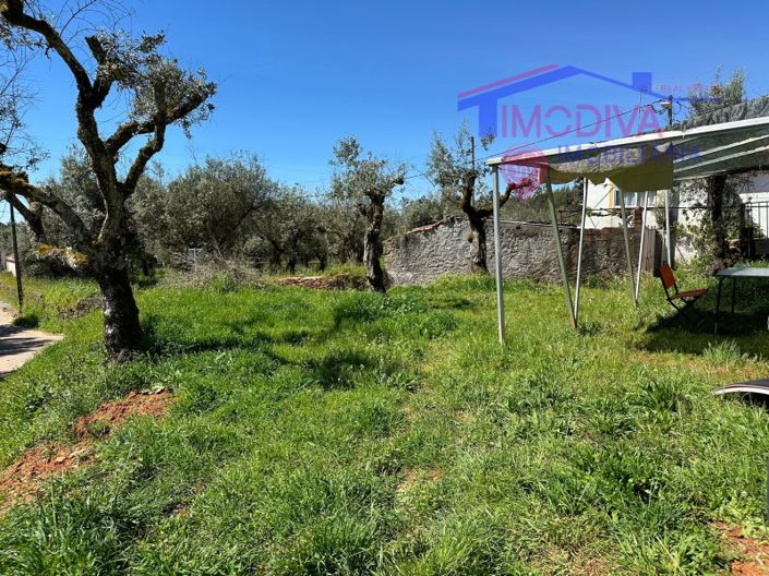 Image No.31-2 Bed House for sale