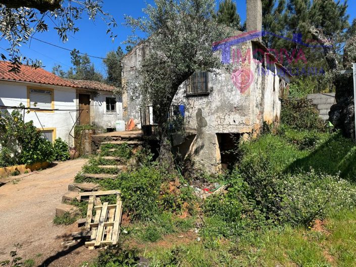 Image No.9-2 Bed House for sale