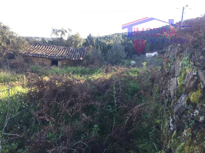 Image No.9-House for sale