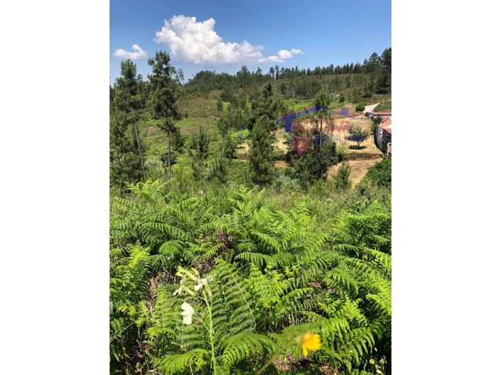 Image No.11-Plot for sale