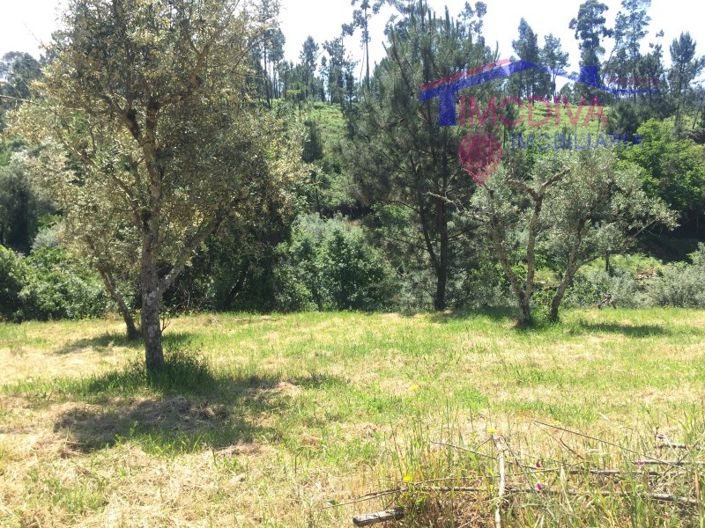 Image No.5-Plot for sale