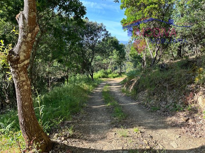 Image No.14-House for sale