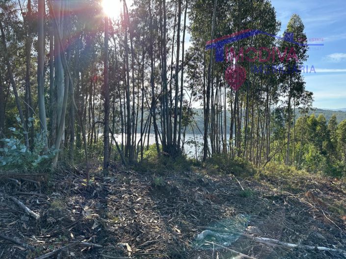 Image No.32-House for sale