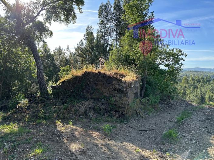 Image No.33-House for sale