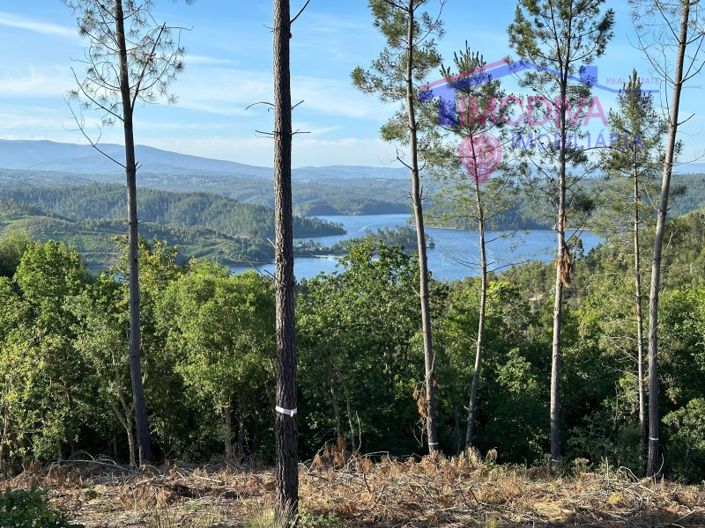 Image No.1-House for sale