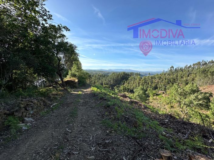 Image No.31-House for sale