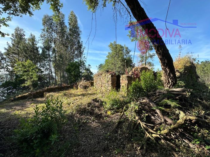 Image No.35-House for sale