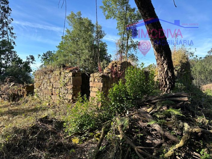 Image No.36-House for sale