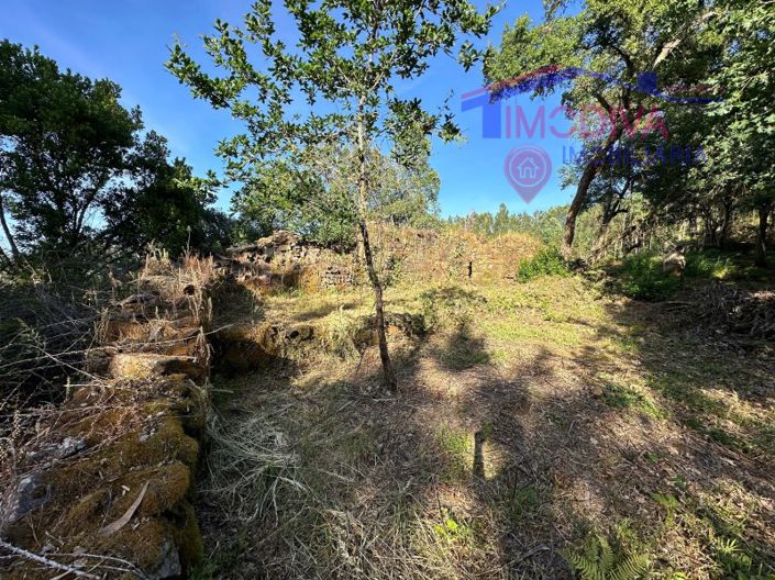 Image No.43-House for sale