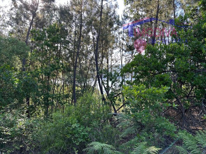 Image No.44-House for sale