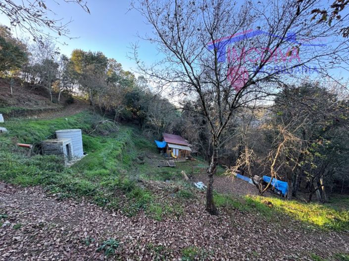 Image No.4-House for sale