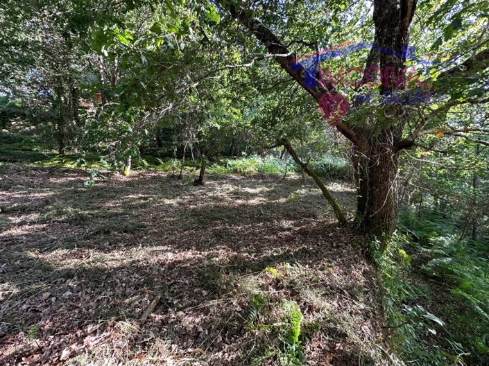 Image No.49-House for sale