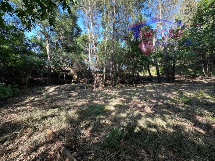 Image No.50-House for sale