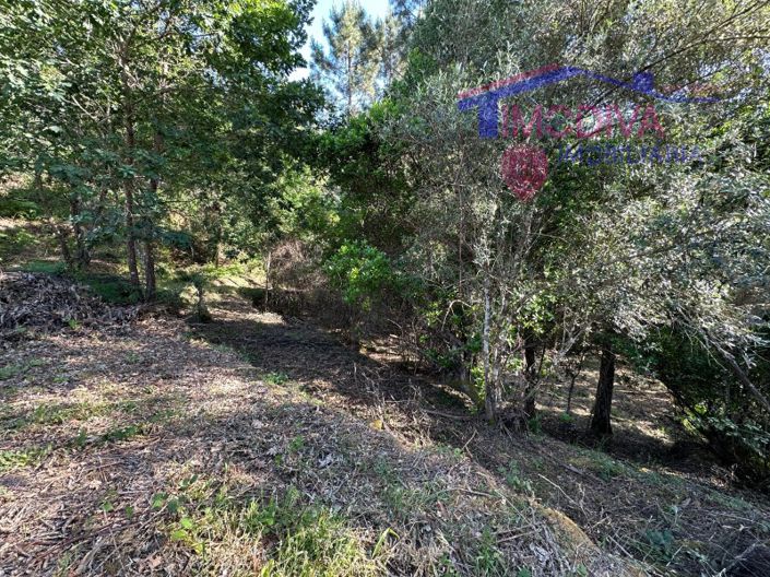 Image No.45-House for sale