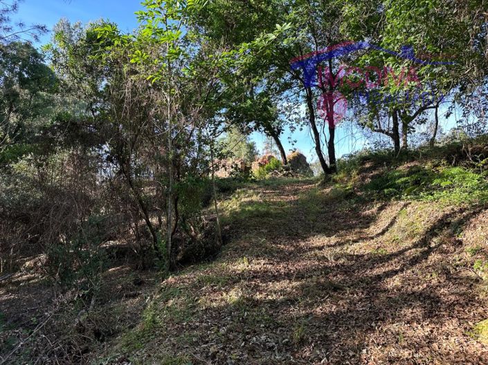 Image No.47-House for sale