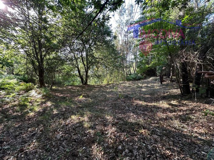 Image No.48-House for sale