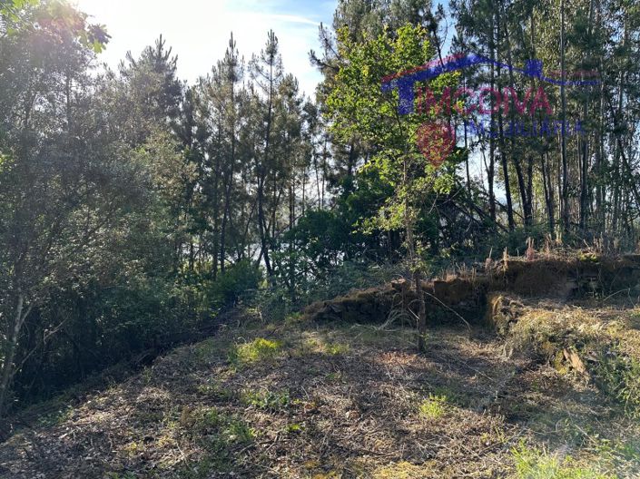 Image No.52-House for sale