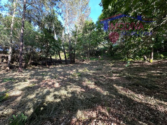 Image No.60-House for sale