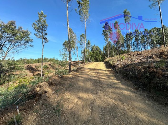 Image No.8-House for sale