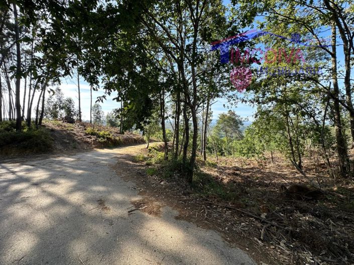 Image No.9-House for sale