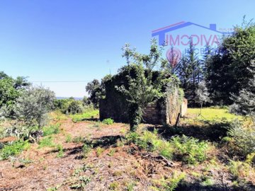 id2b677f01-0000-0500-0000-00001369c039