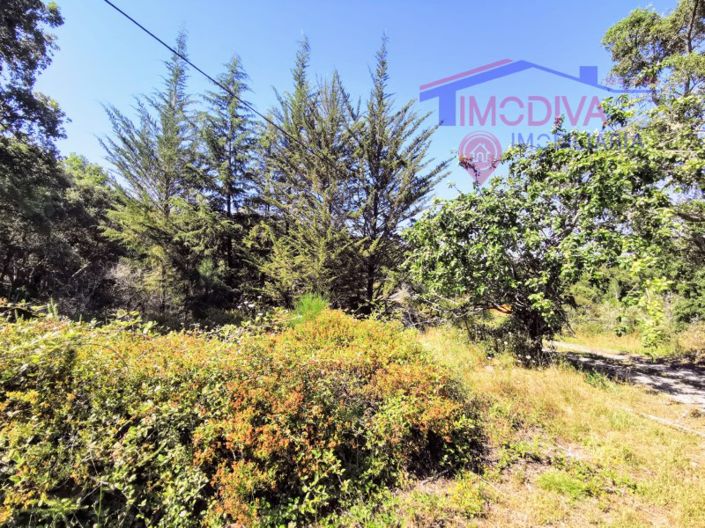 Image No.8-1 Bed House for sale