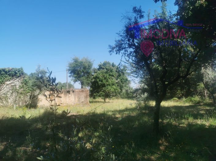 Image No.9-1 Bed House for sale