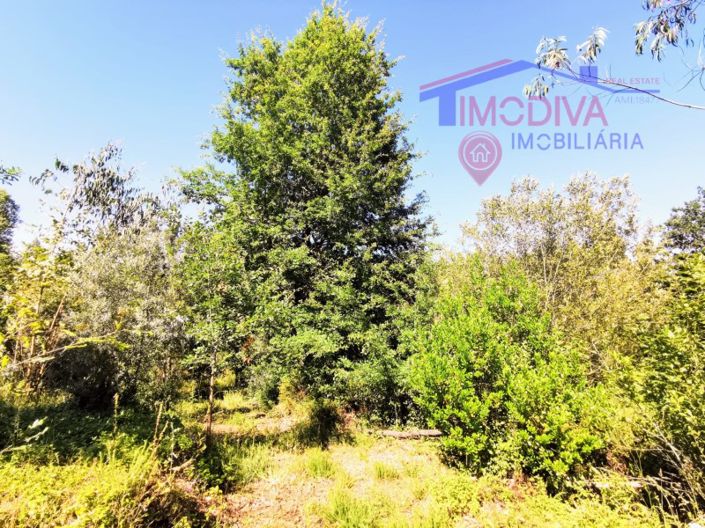 Image No.6-Plot for sale