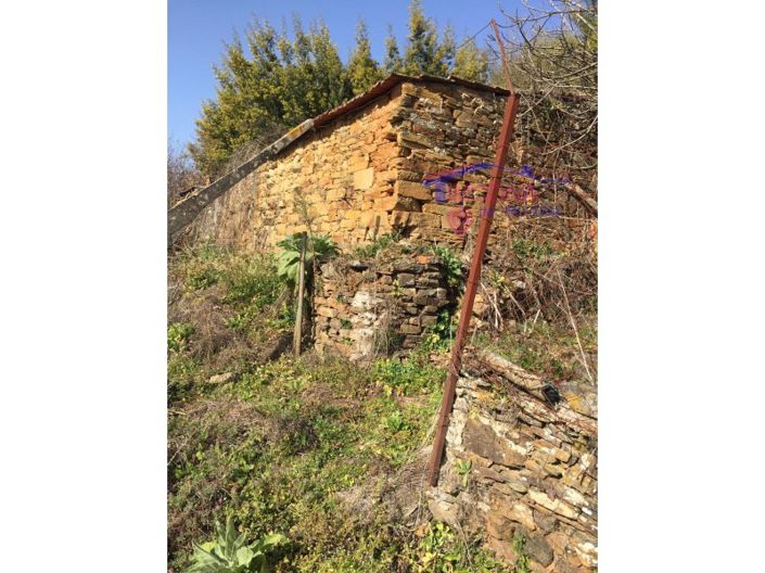 Image No.11-House for sale