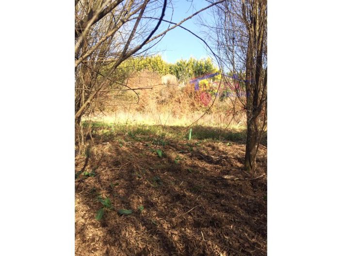 Image No.20-House for sale