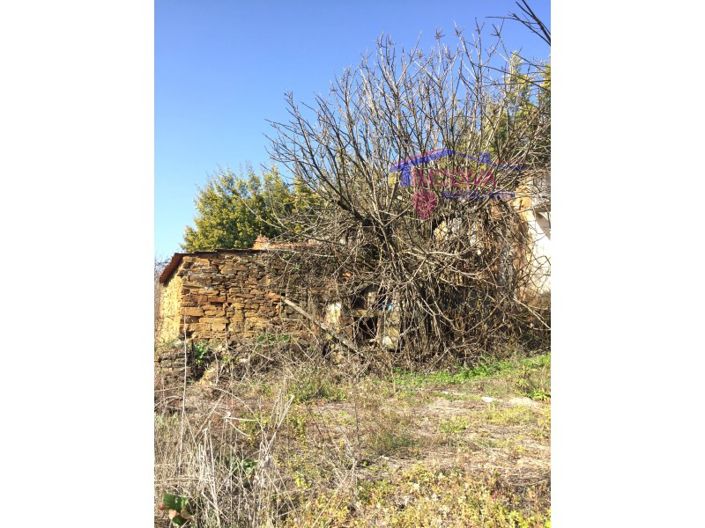 Image No.25-House for sale