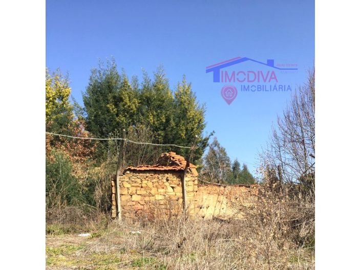 Image No.8-House for sale