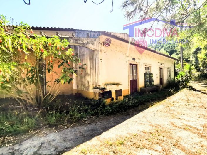 Image No.5-Bar for sale