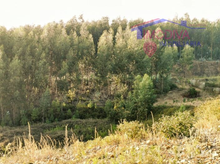 Image No.4-Plot for sale