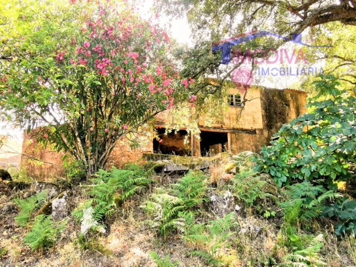 Image No.11-2 Bed House for sale