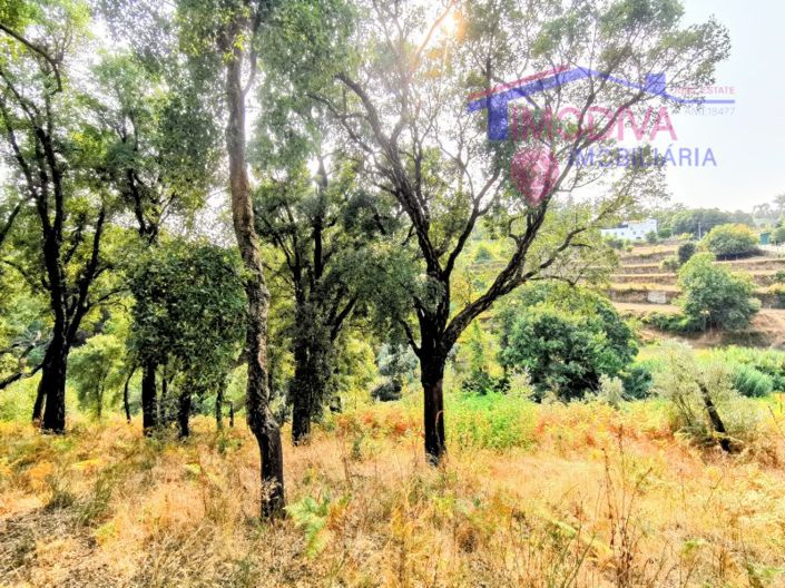 Image No.13-2 Bed House for sale