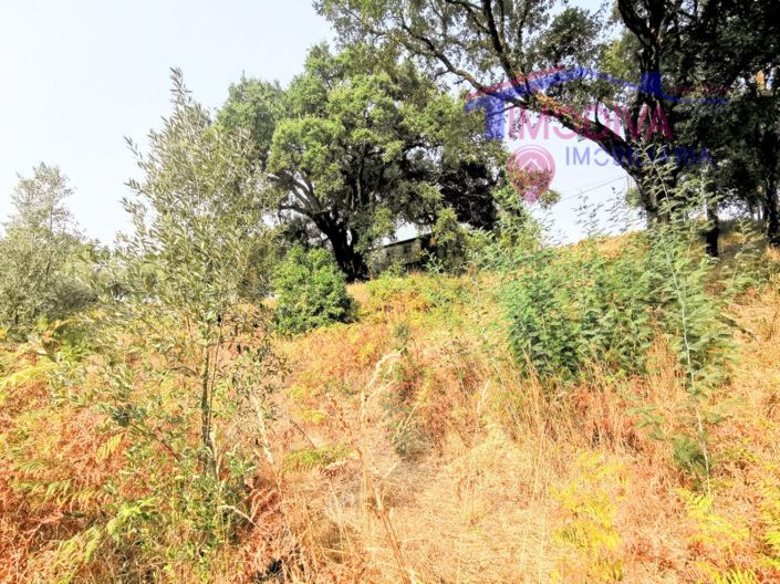 Image No.15-2 Bed House for sale