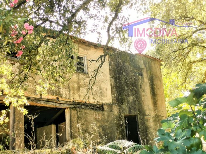 Image No.4-2 Bed House for sale