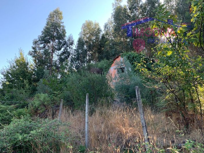 Image No.13-Farmhouse for sale