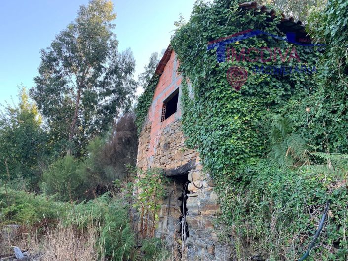 Image No.3-Farmhouse for sale