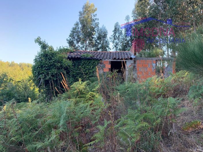 Image No.7-Farmhouse for sale