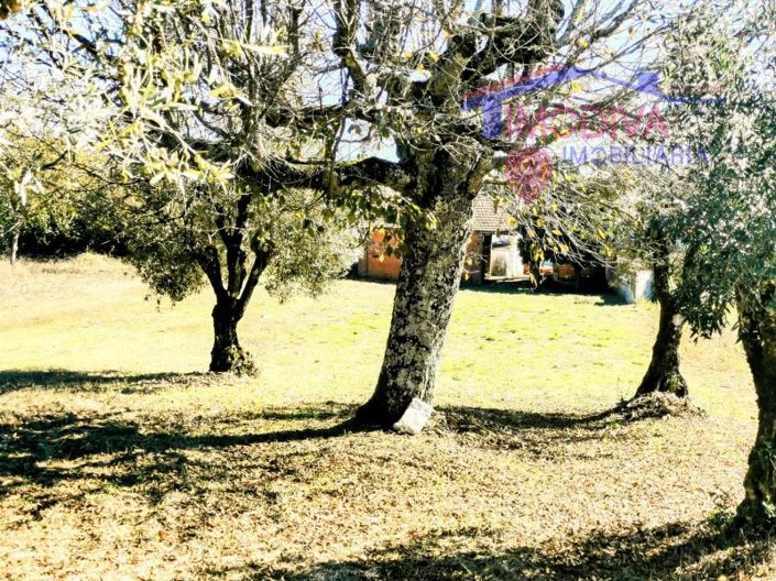 Image No.21-4 Bed House for sale