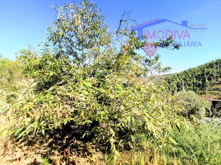 Image No.21-2 Bed House for sale