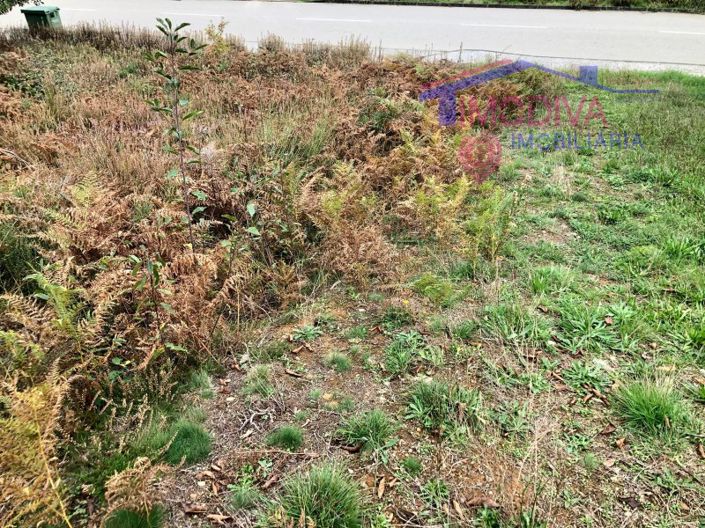 Image No.3-Plot for sale