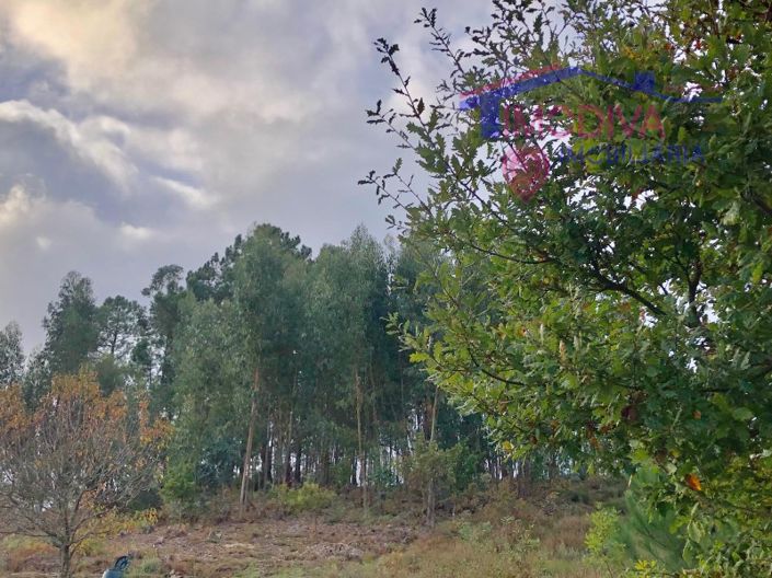 Image No.6-Plot for sale