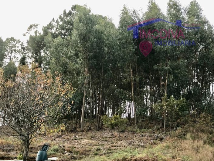 Image No.9-Plot for sale